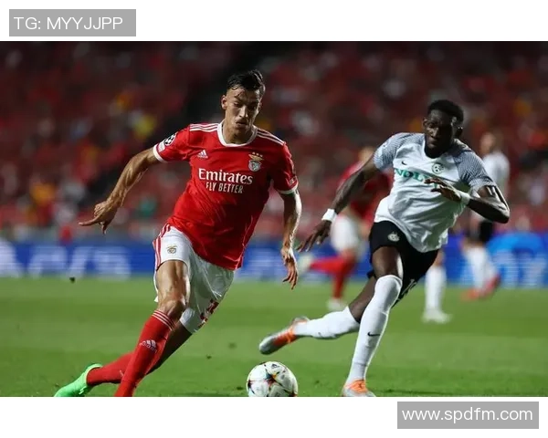 尤尔曼德：此前轮休格里马尔多是为让他歇息；本菲卡压力很大