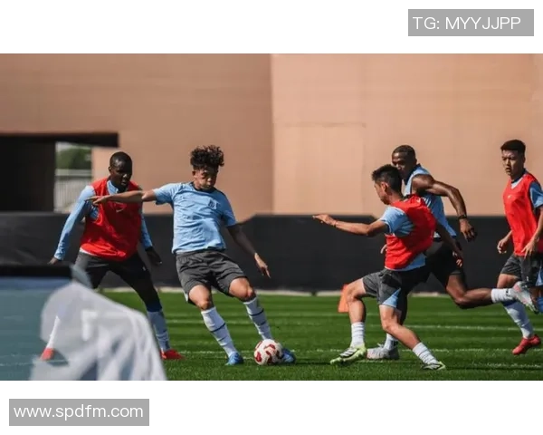 广岛主帅：申花在身体和速度方面很超卓，J联赛球队技能细腻